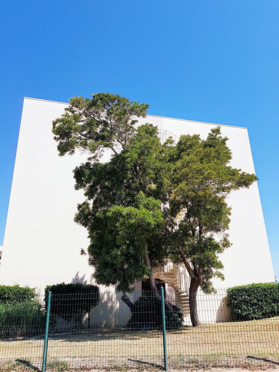 Studio Calme Avec Parking Et Ascenseur -304- كانيه المظهر الخارجي الصورة